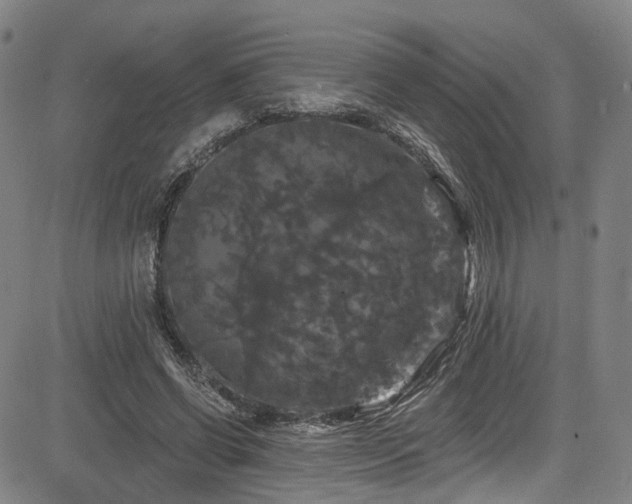 X0000085320542200703091514