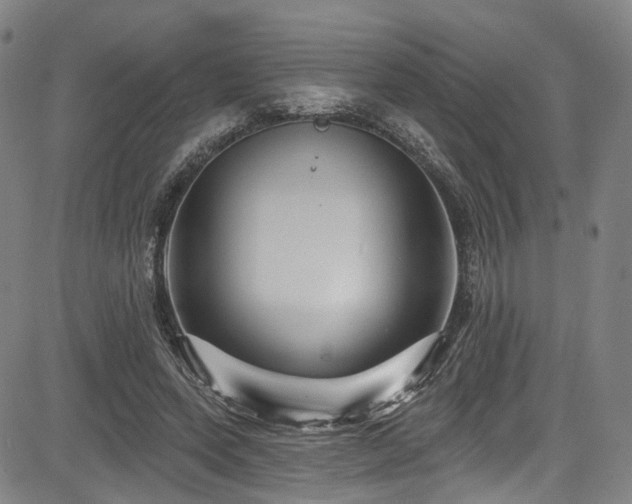 X0000085320543200703091514