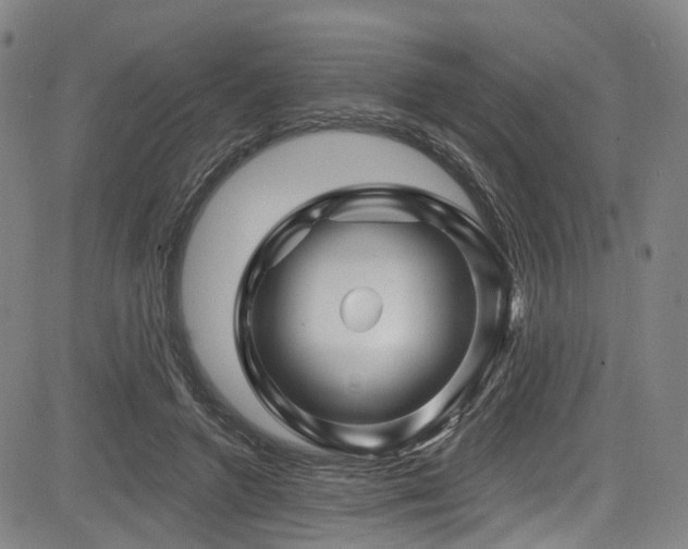 X0000085320546200703091514