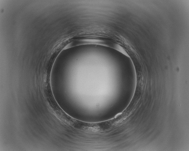 X0000085320548200703091514