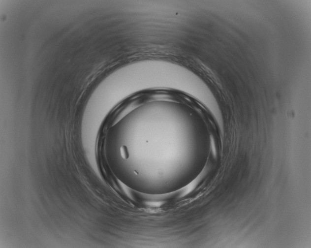 X0000085320552200703091514