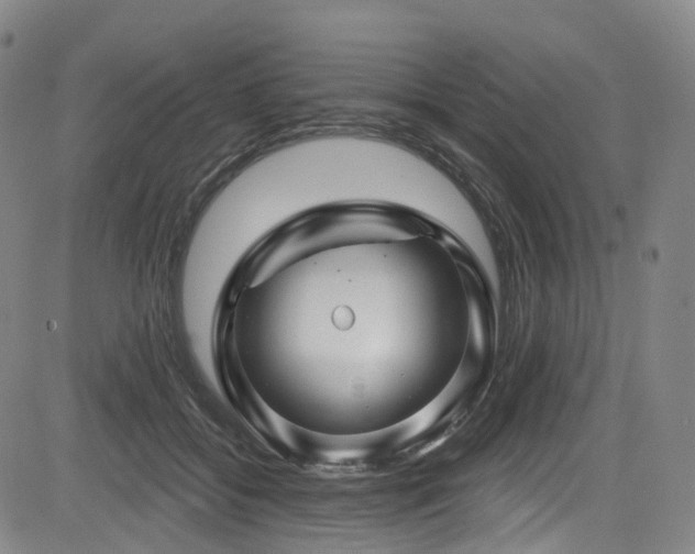 X0000085320556200703091514