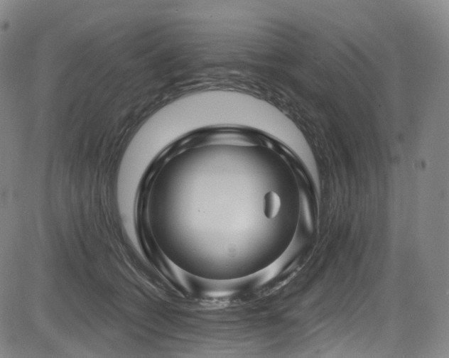 X0000085320562200703091514