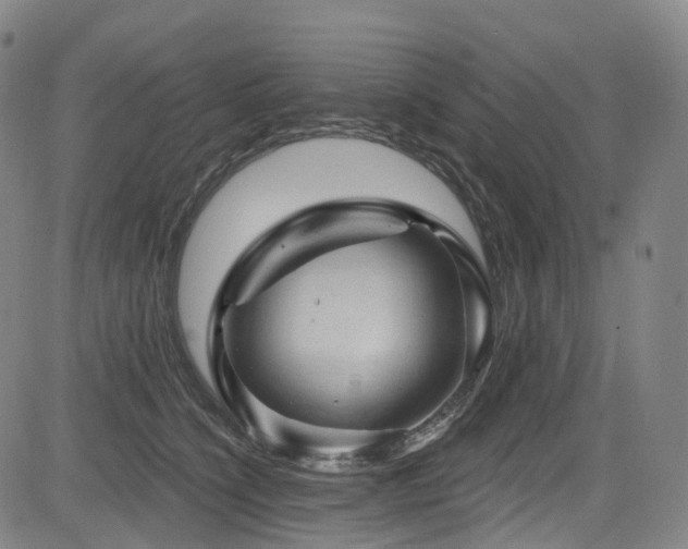 X0000085320564200703091514