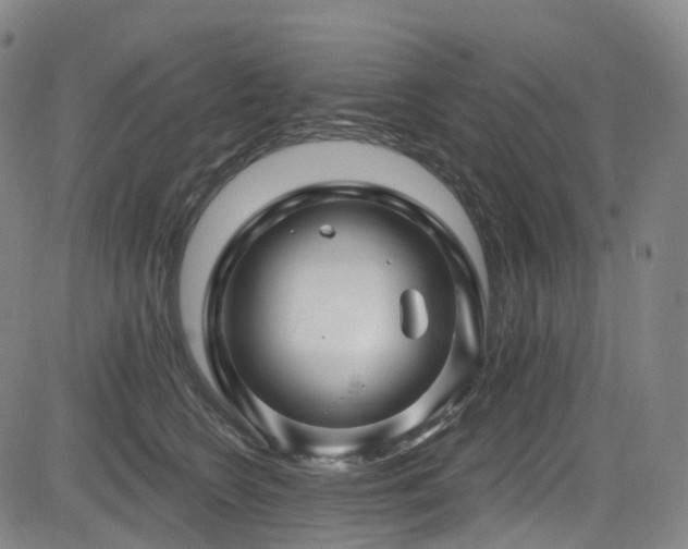 X0000085320566200703091514