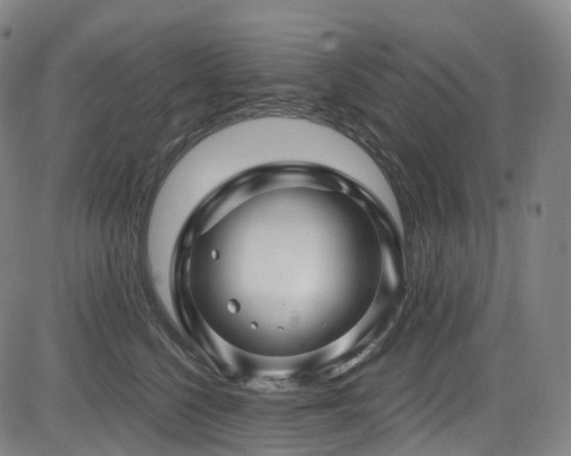 X0000085320568200703091514