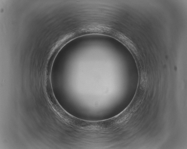 X0000085320578200703091514
