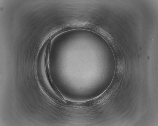 X0000085320582200703091513
