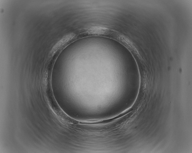 X0000085320586200703091513