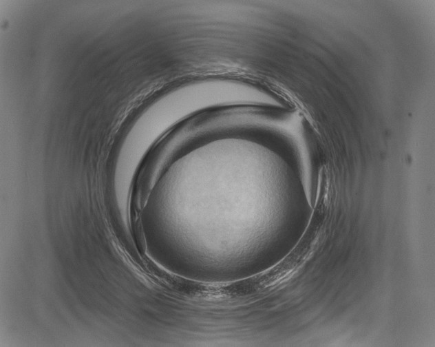 X0000085320589200703091513