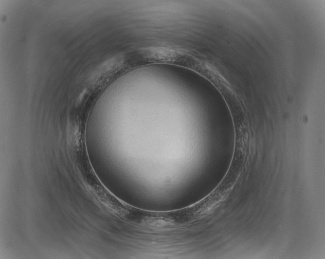 X0000085320597200703091513