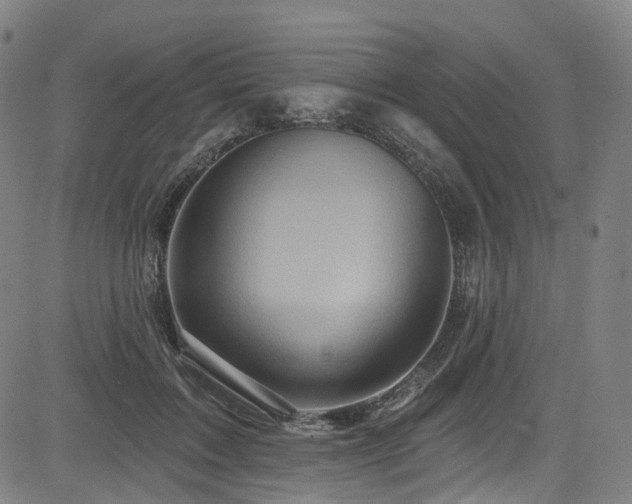 X0000085320603200703091513