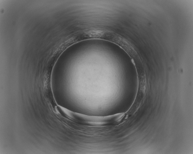 X0000085320604200703091513