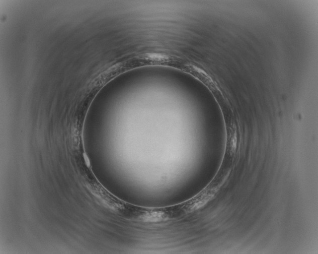 X0000085320609200703091513