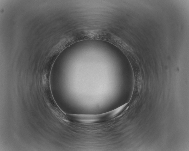 X0000085320611200703091513