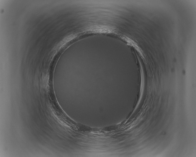X0000085320627200703091512