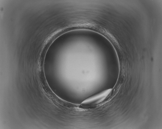 X0000085320628200703091512