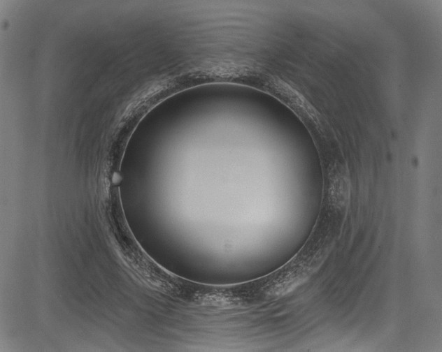 X0000085320635200703091512