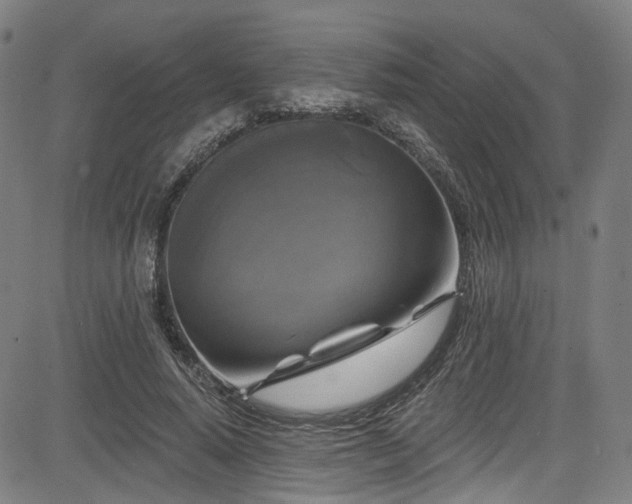X0000085320640200703091512