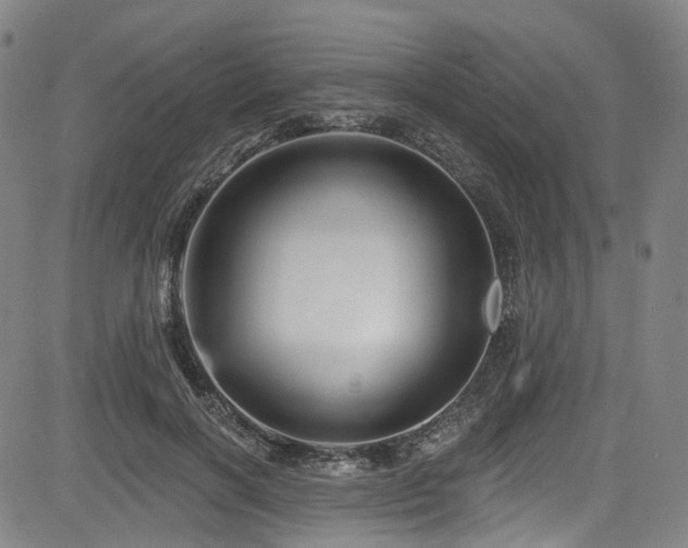 X0000085320646200703091512