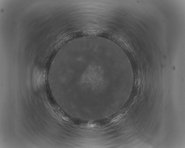 X0000085320647200703091512