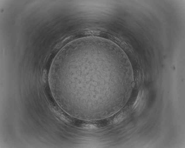 X0000085320649200703091512