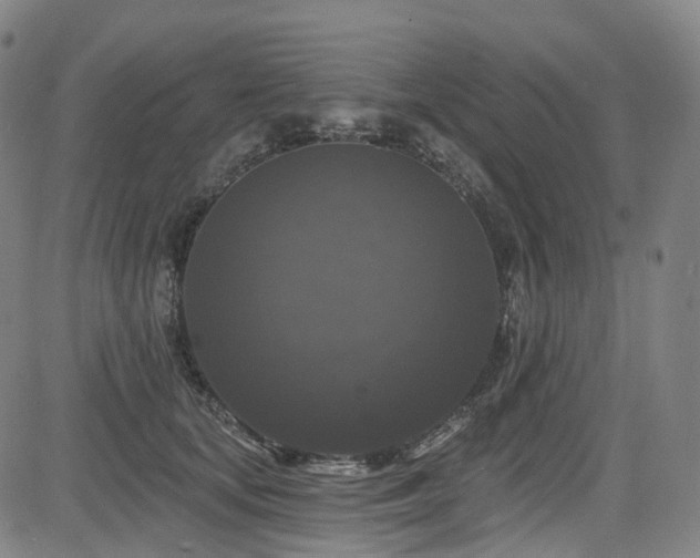 X0000085320659200703091513