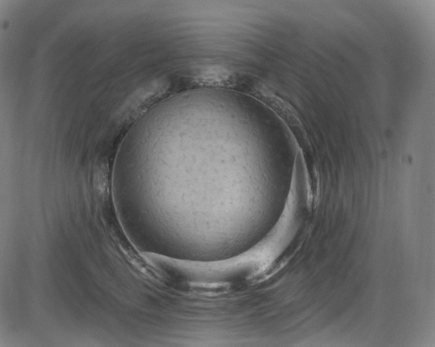 X0000085320665200703091513