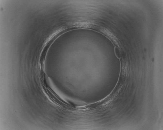 X0000085320674200703091512