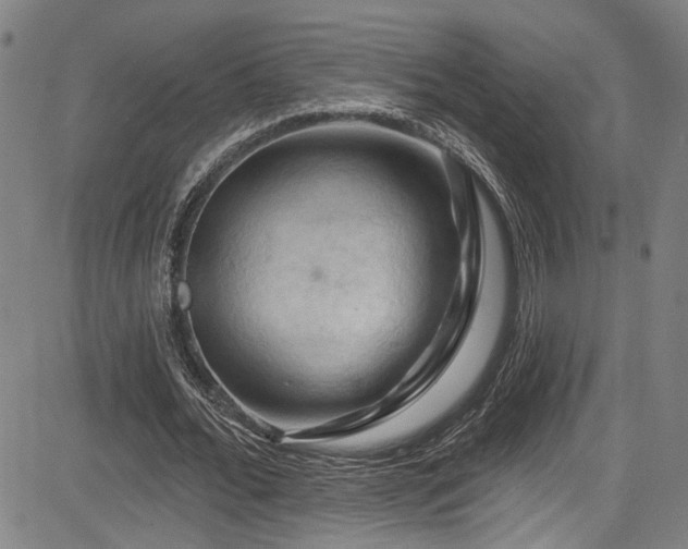 X0000085320676200703091512