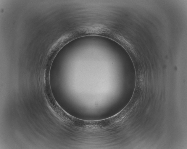 X0000085320686200703091512