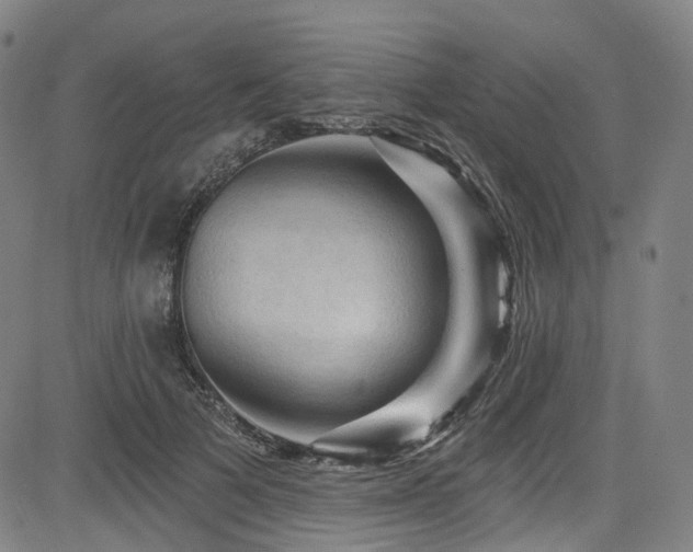 X0000085320697200703091512