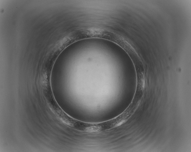 X0000085320700200703091511