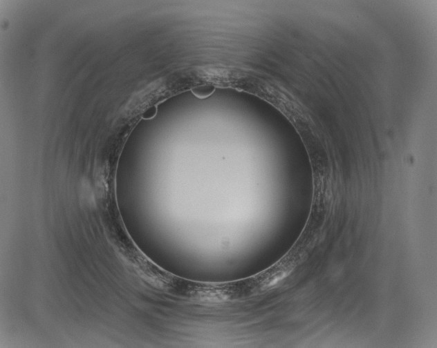 X0000085320702200703091511