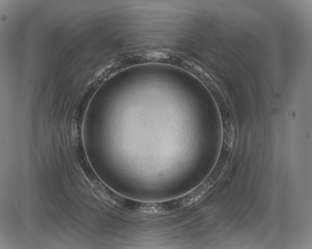 X0000085320704200703091511