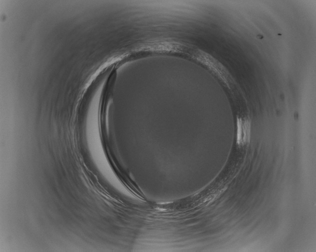 X0000085320723200703091510