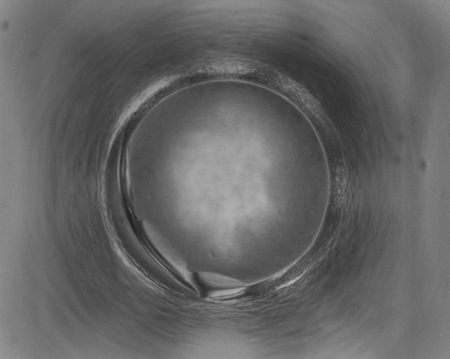 X0000085320726200703091510