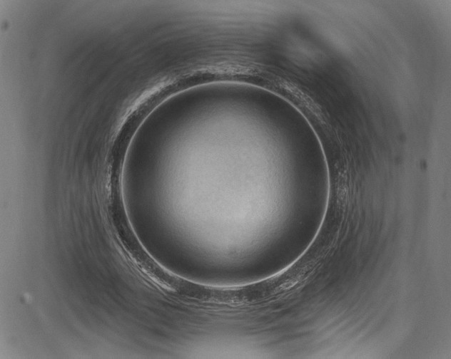 X0000085320727200703091510