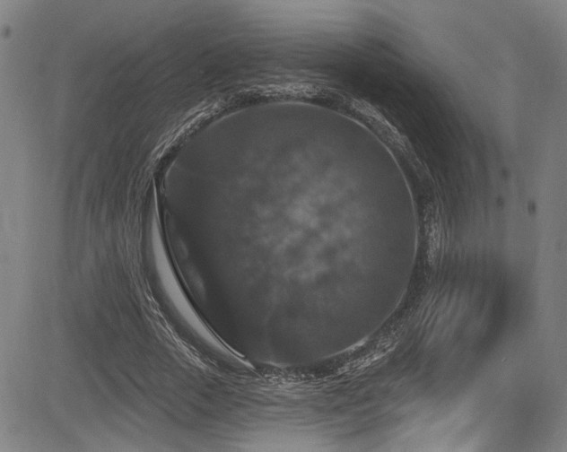X0000085320729200703091511