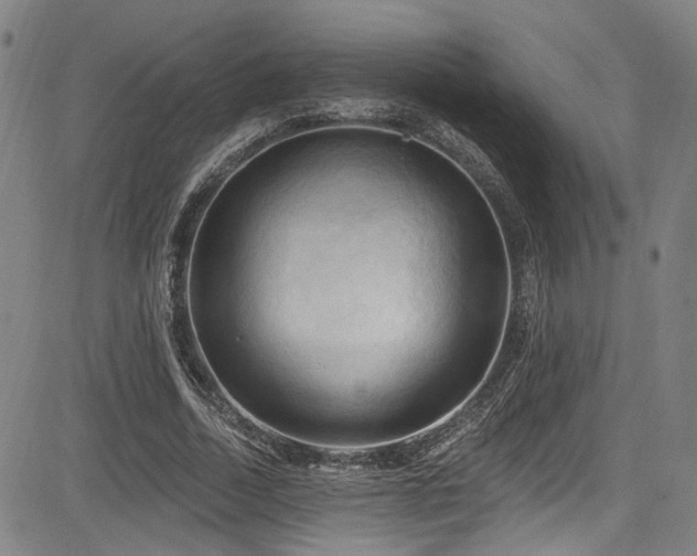 X0000085320730200703091511