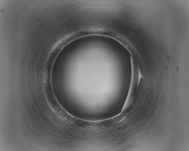 X0000085320732200703091511