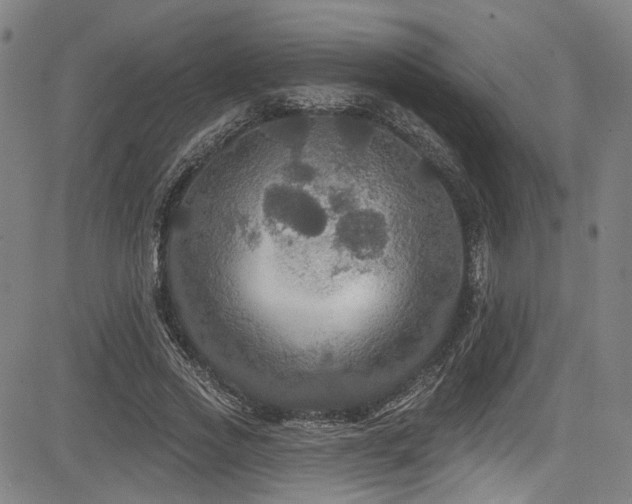 X0000085320733200703091511