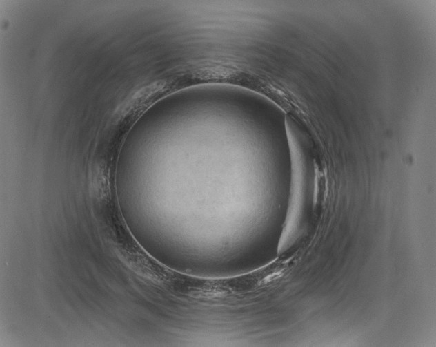 X0000085320743200703091511