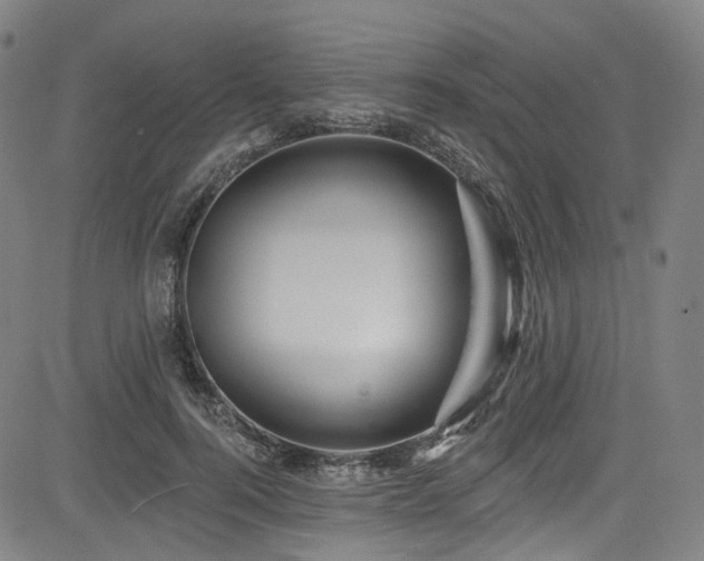 X0000085320744200703091511