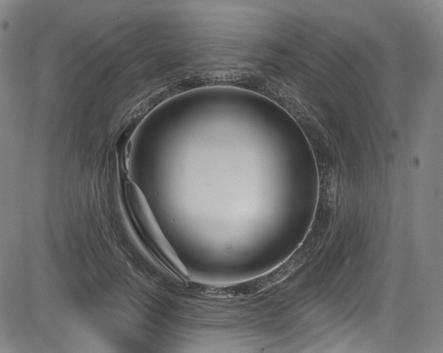 X0000085320746200703091511