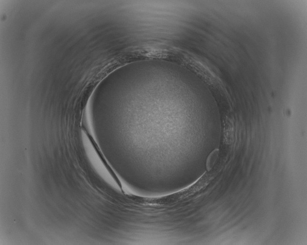 X0000085320748200703091511