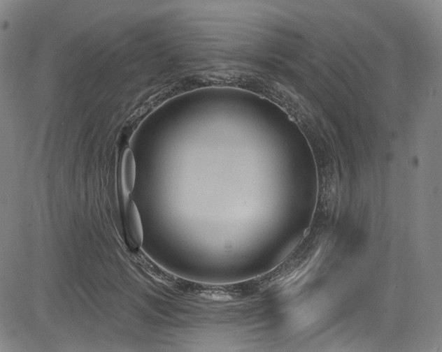 X0000085320749200703091511