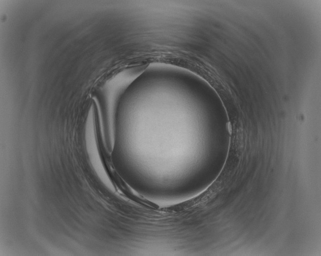 X0000085320750200703091511