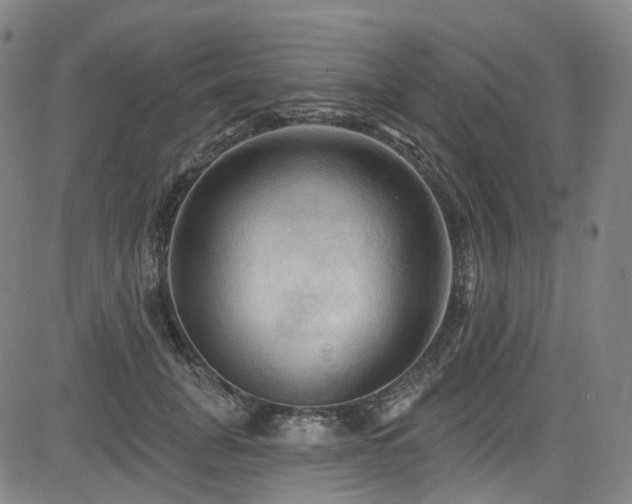 X0000085320751200703091511