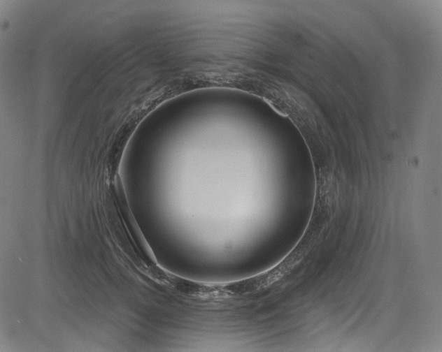 X0000085320752200703091511